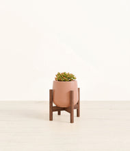 Load image into Gallery viewer, Calm Rose stand:walnut
