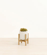 Load image into Gallery viewer, Cotton White stand:bamboo
