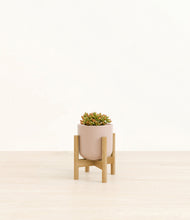 Load image into Gallery viewer, Sandy Pink stand:bamboo
