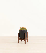 Load image into Gallery viewer, Stone Black stand:walnut
