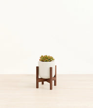 Load image into Gallery viewer, Cotton White stand:walnut
