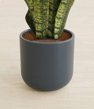 Load image into Gallery viewer, Iron Gray stand:all
