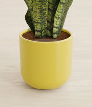 Load image into Gallery viewer, Key Lime Yellow stand:all
