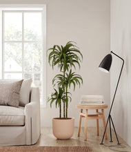 Load image into Gallery viewer, Sandy Pink
