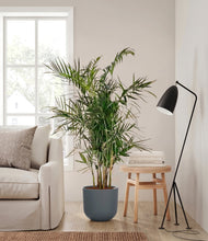 Load image into Gallery viewer, Iron Gray
