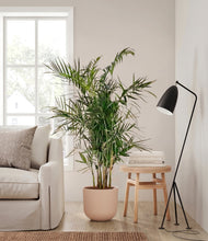 Load image into Gallery viewer, Sandy Pink
