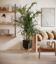 Load image into Gallery viewer, Stone Black stand:bamboo
