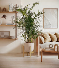 Load image into Gallery viewer, Sandy Pink stand:bamboo
