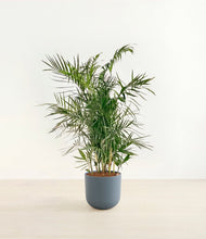 Load image into Gallery viewer, Iron Gray*****Profile
