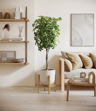 Load image into Gallery viewer, Natural Bamboo stand:bamboo
