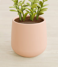 Load image into Gallery viewer, Gentle Pink stand:all
