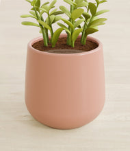 Load image into Gallery viewer, Calm Rose stand:all
