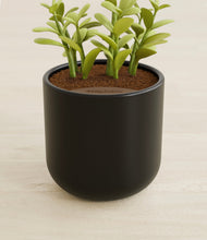 Load image into Gallery viewer, Stone Black stand:all

