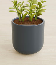 Load image into Gallery viewer, Iron Gray stand:all
