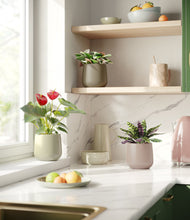 Load image into Gallery viewer, Earthy
