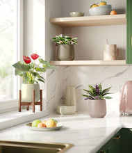 Load image into Gallery viewer, Earthy stand:one_stand
