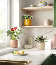 Load image into Gallery viewer, Evening Sky
