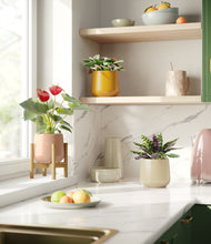 Load image into Gallery viewer, Evening Sky stand:one_stand
