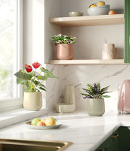 Load image into Gallery viewer, Lily Pad
