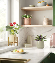 Load image into Gallery viewer, Lily Pad stand:one_stand
