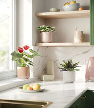 Load image into Gallery viewer, Peach Blossom
