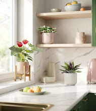 Load image into Gallery viewer, Peach Blossom stand:one_stand
