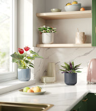 Load image into Gallery viewer, Pebble Shore
