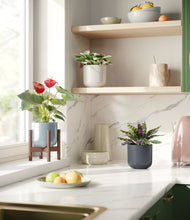 Load image into Gallery viewer, Pebble Shore stand:one_stand
