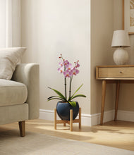 Load image into Gallery viewer, Deep Navy stand:bamboo
