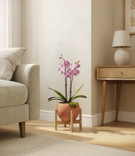 Load image into Gallery viewer, Calm Rose stand:bamboo
