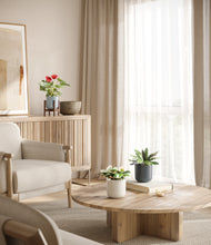 Load image into Gallery viewer, Pebble Shore stand:one_stand
