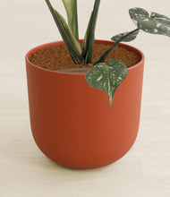 Load image into Gallery viewer, Earth Red stand:all
