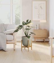 Load image into Gallery viewer, Sage Green stand:bamboo
