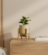 Load image into Gallery viewer, Almond Green stand:bamboo
