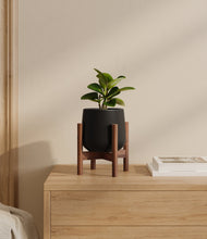 Load image into Gallery viewer, Black stand:walnut
