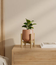 Load image into Gallery viewer, Calm Rose stand:bamboo
