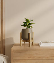Load image into Gallery viewer, Olive stand:bamboo
