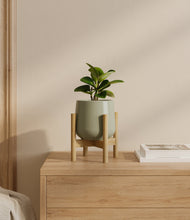 Load image into Gallery viewer, Turquoise stand:bamboo
