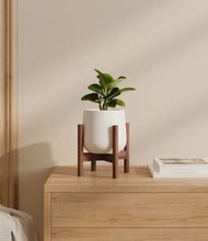 Load image into Gallery viewer, White stand:walnut
