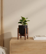 Load image into Gallery viewer, Stone Black stand:walnut
