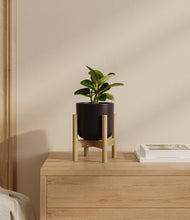 Load image into Gallery viewer, Stone Black stand:bamboo
