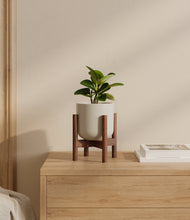 Load image into Gallery viewer, Cotton White stand:walnut
