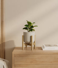 Load image into Gallery viewer, Cotton White stand:bamboo
