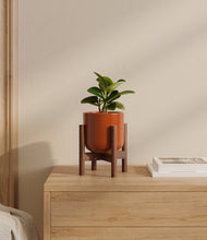 Load image into Gallery viewer, Glossy Red stand:walnut
