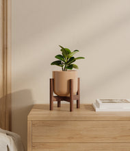 Load image into Gallery viewer, Glossy Pink stand:walnut
