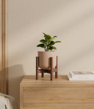Load image into Gallery viewer, Sandy Pink stand:walnut
