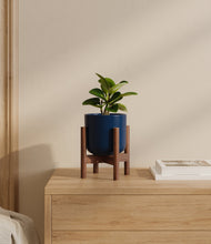 Load image into Gallery viewer, Twilight Blue stand:walnut
