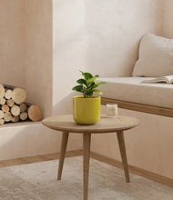 Load image into Gallery viewer, Key Lime Yellow
