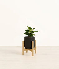 Load image into Gallery viewer, Black stand:bamboo
