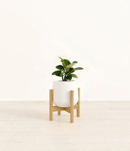 Load image into Gallery viewer, White stand:bamboo
